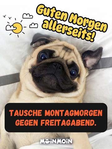 - (Leute, gutefrage-Nutzer, negativ)