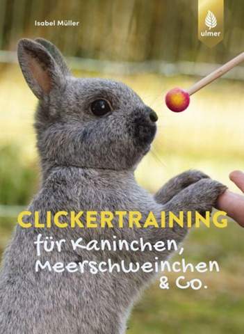 - (Training, Tricks, Rennmaus)
