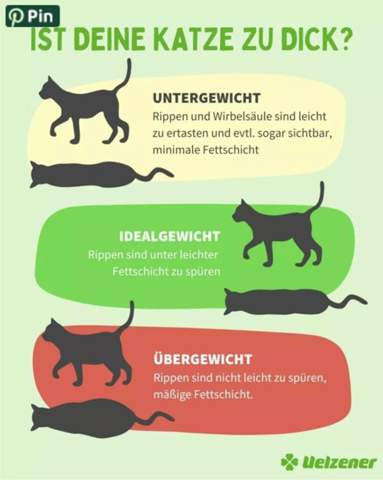 - (Ernährung, Tierhaltung, Futter)