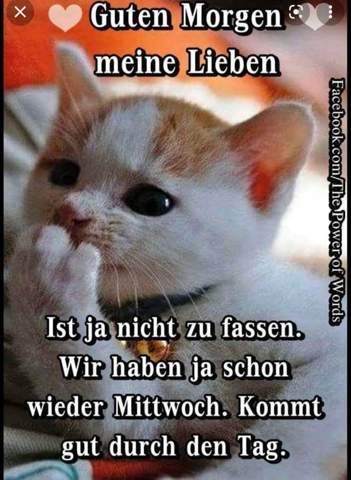 - (Freizeit, Menschen, Leben)