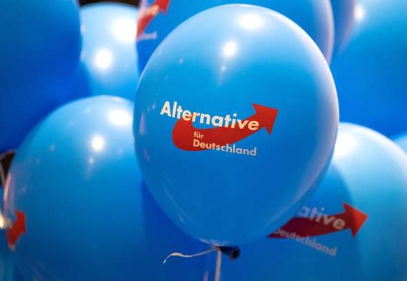 - (Wahlen, Partei, AfD)