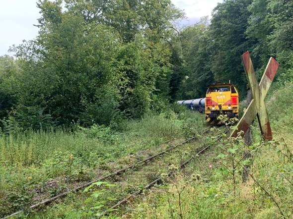 Bild zum Beitrag