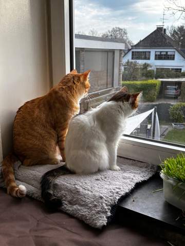 Bild zum Beitrag