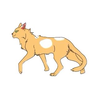 - (Buch, Warrior Cats, Fanfiction)