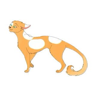 - (Buch, Warrior Cats, Fanfiction)