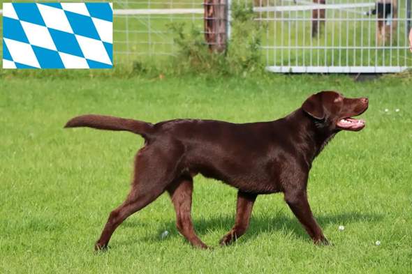 Bild zum Beitrag