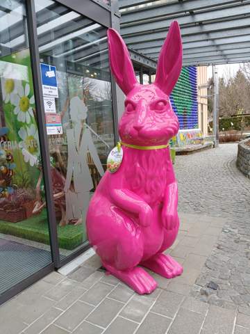 Bild zum Beitrag