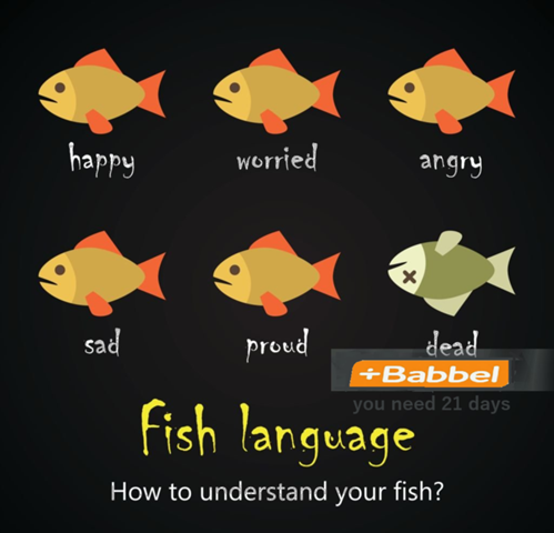 - (Deutschland, Deutsch, Sprache)