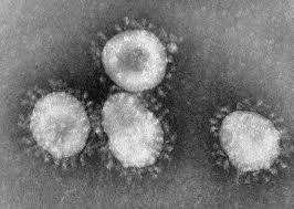 - (Krankheit, Virus, Kopfschmerzen)