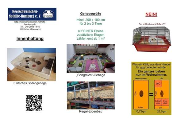- (Geschlecht, Meerschweinchen, Tiermedizin)