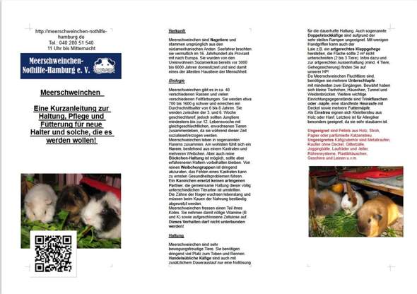 - (Geschlecht, Meerschweinchen, Tiermedizin)