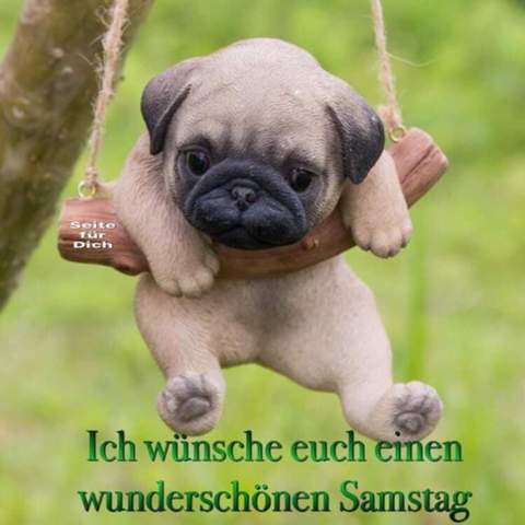 - (Alltag, Alltägliches, gutefrage-Nutzer)