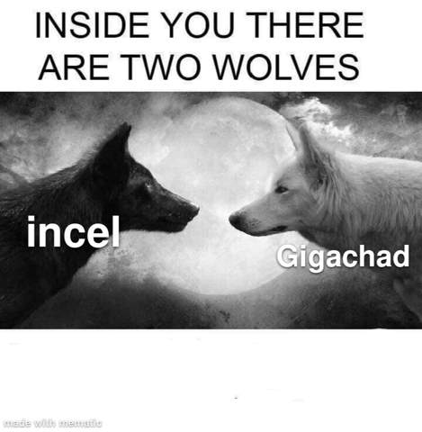 - (Freundschaft, Incel, Chads)