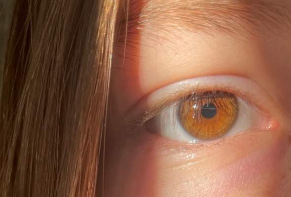 Bild zum Beitrag
