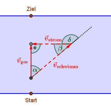 - (Physik, rechnen, Funktion)
