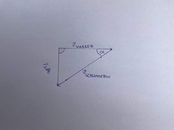 - (Physik, rechnen, Funktion)