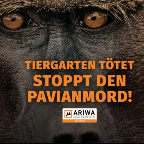 - (Tierschutz, Zoo, Wildtiere)