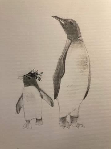 - (Kunst, zeichnen)