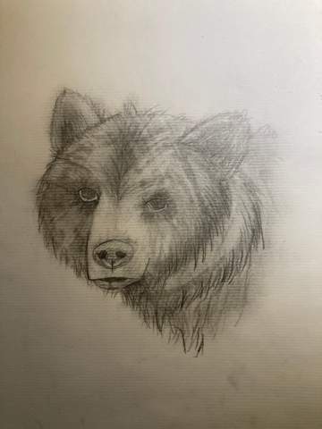 - (Kunst, zeichnen)