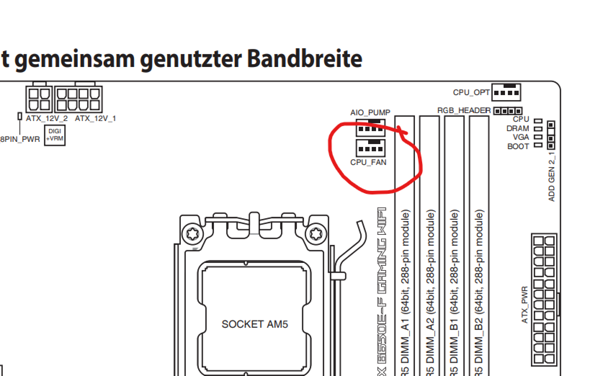 Bild zum Beitrag