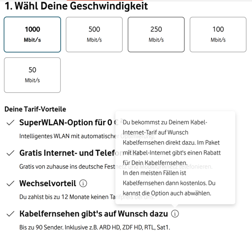 - (Internet, Fernsehen, TV)