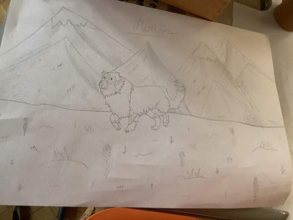 - (Kunst, zeichnen)