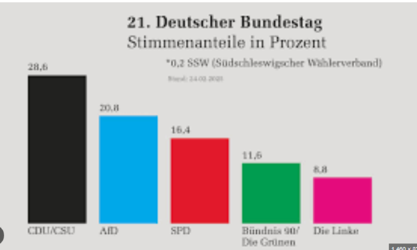 - (Partei, Bundestag, Bundestagswahl)