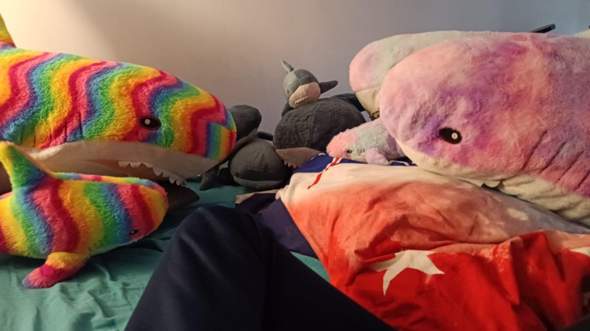 - (Preis, Hilfestellung, Kuscheltier)