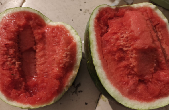 - (Geschmack, Obst, Melone)