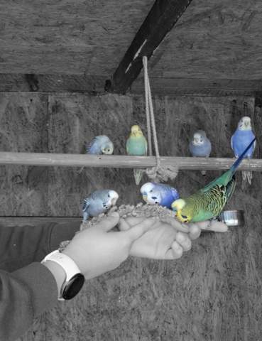 Bild zum Beitrag