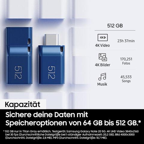 - (Apple, USB-Stick, SSD)