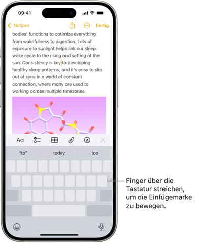 Bild zum Beitrag