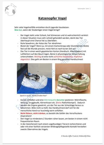 - (Biologie, Katze, Baby)