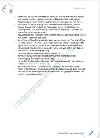 - (Biologie, Katze, Baby)