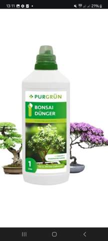 - (Wasser, Erde, Baum)