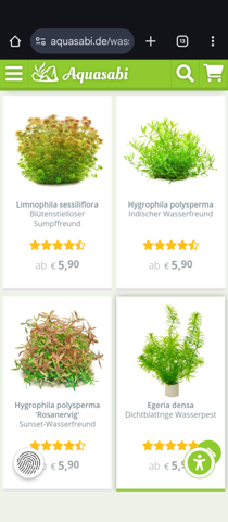 - (Aquarium, Tierhaltung, Aquariumfische)