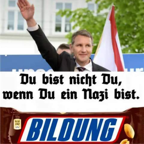 - (Wahlen, Partei, AfD)