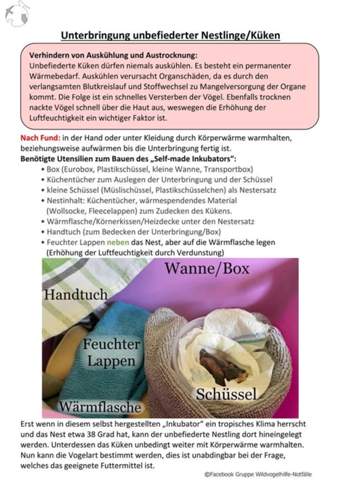 - (Tierarzt, Tierhaltung, Tierschutz)