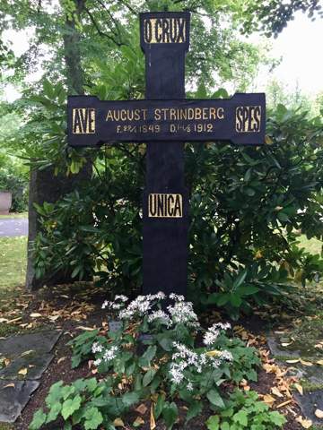 Bild zum Beitrag
