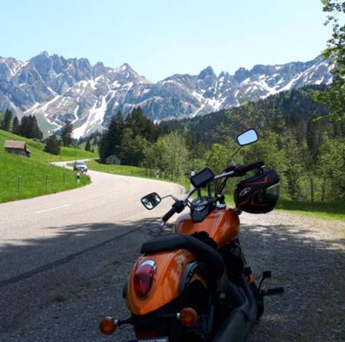 - (Führerschein, Motor, Werkstatt)