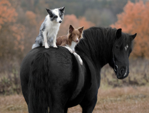 Bild zum Beitrag