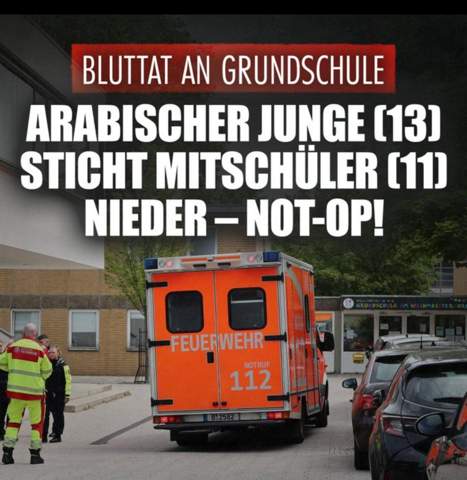 Bild zum Beitrag