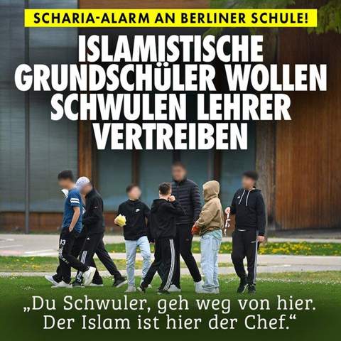Bild zum Beitrag