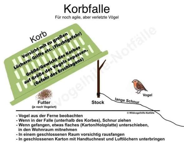 Bild zum Beitrag
