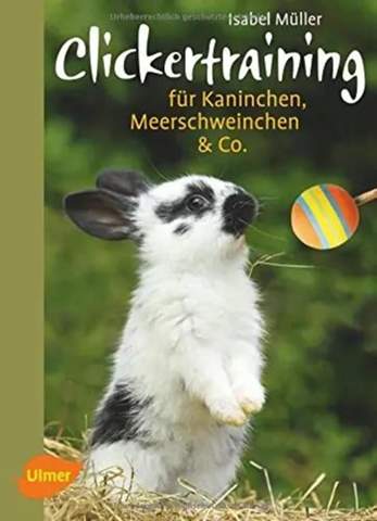 - (Training, Kaninchen)