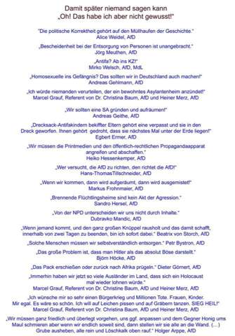 - (Recht, Partei, AfD)
