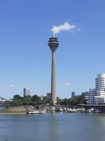 Bild zum Beitrag