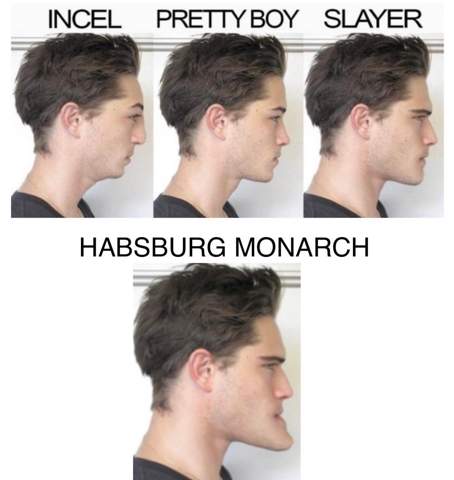 Bild zum Beitrag