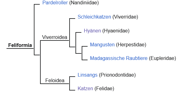 - (Biologie, Afrika, Tierschutz)