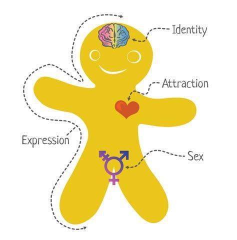 - (LGBT+, non-binary, Pronomen)